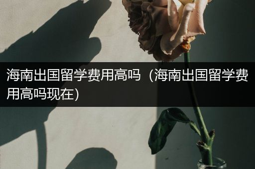 海南出国留学费用高吗（海南出国留学费用高吗现在）
