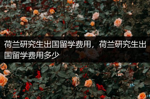 荷兰研究生出国留学费用，荷兰研究生出国留学费用多少