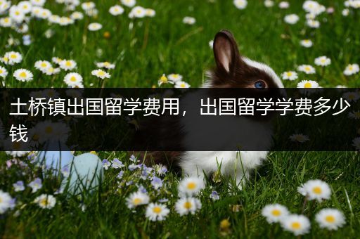 土桥镇出国留学费用，出国留学学费多少钱