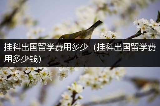挂科出国留学费用多少（挂科出国留学费用多少钱）