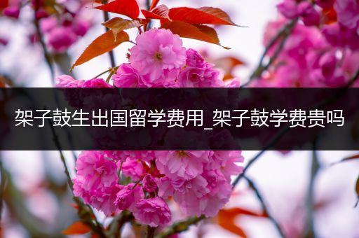 架子鼓生出国留学费用_架子鼓学费贵吗