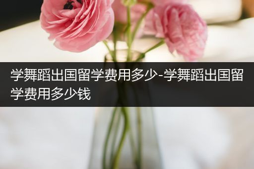 学舞蹈出国留学费用多少-学舞蹈出国留学费用多少钱