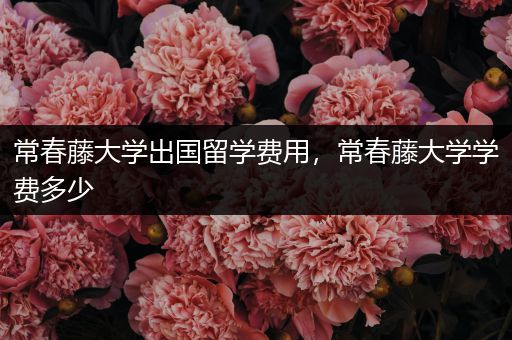 常春藤大学出国留学费用，常春藤大学学费多少