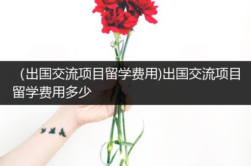 （出国交流项目留学费用)出国交流项目留学费用多少