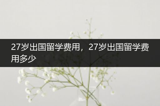 27岁出国留学费用，27岁出国留学费用多少