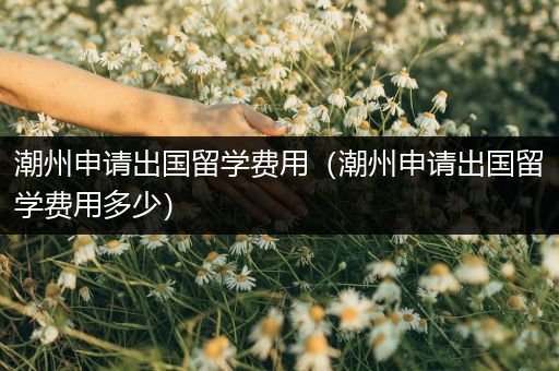 潮州申请出国留学费用（潮州申请出国留学费用多少）
