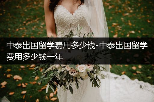 中泰出国留学费用多少钱-中泰出国留学费用多少钱一年
