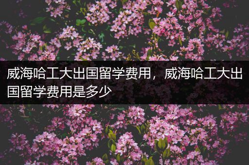 威海哈工大出国留学费用，威海哈工大出国留学费用是多少