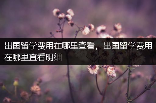 出国留学费用在哪里查看，出国留学费用在哪里查看明细