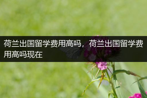 荷兰出国留学费用高吗，荷兰出国留学费用高吗现在