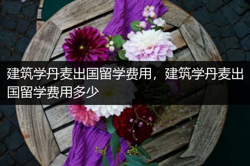 建筑学丹麦出国留学费用，建筑学丹麦出国留学费用多少