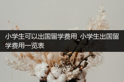 小学生可以出国留学费用_小学生出国留学费用一览表