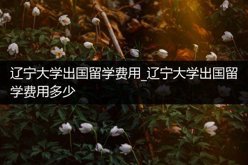 辽宁大学出国留学费用_辽宁大学出国留学费用多少
