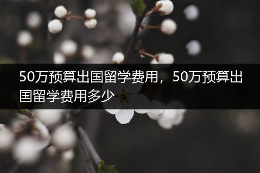 50万预算出国留学费用，50万预算出国留学费用多少