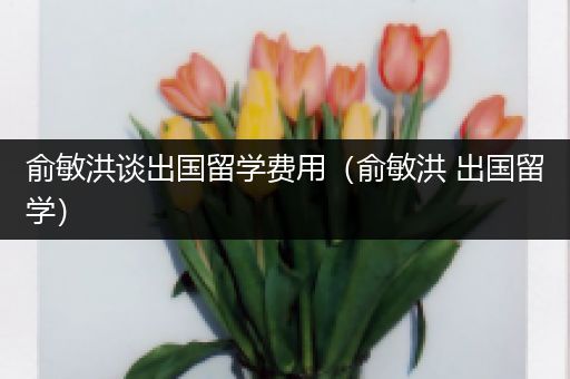 俞敏洪谈出国留学费用（俞敏洪 出国留学）