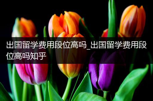 出国留学费用段位高吗_出国留学费用段位高吗知乎