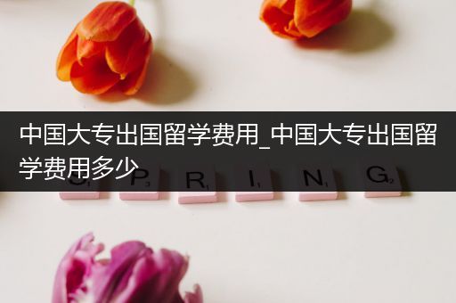 中国大专出国留学费用_中国大专出国留学费用多少