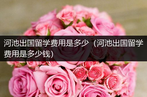 河池出国留学费用是多少（河池出国留学费用是多少钱）