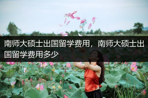 南师大硕士出国留学费用，南师大硕士出国留学费用多少