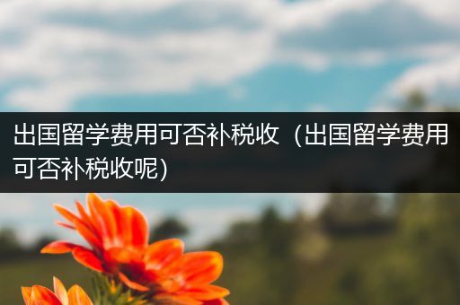 出国留学费用可否补税收（出国留学费用可否补税收呢）