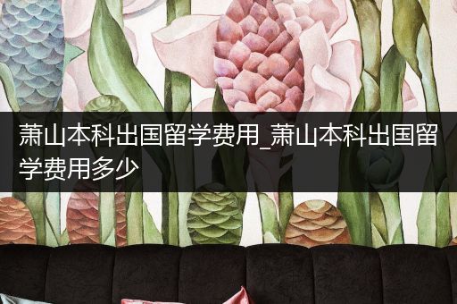 萧山本科出国留学费用_萧山本科出国留学费用多少