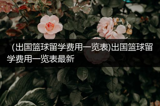 （出国篮球留学费用一览表)出国篮球留学费用一览表最新