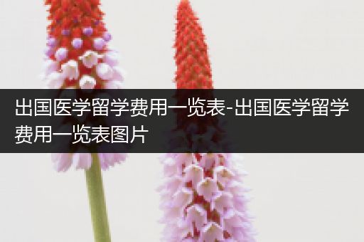 出国医学留学费用一览表-出国医学留学费用一览表图片