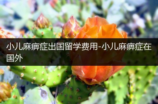 小儿麻痹症出国留学费用-小儿麻痹症在国外