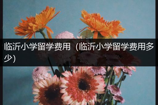 临沂小学留学费用（临沂小学留学费用多少）