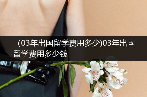 （03年出国留学费用多少)03年出国留学费用多少钱