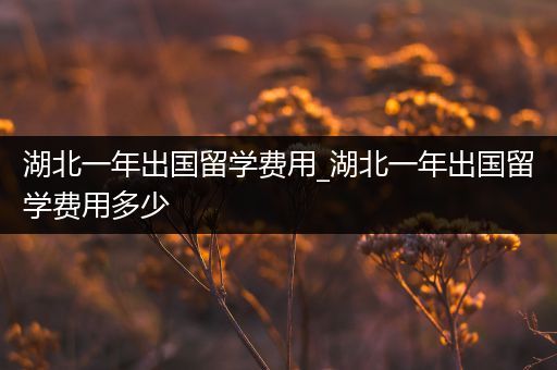 湖北一年出国留学费用_湖北一年出国留学费用多少