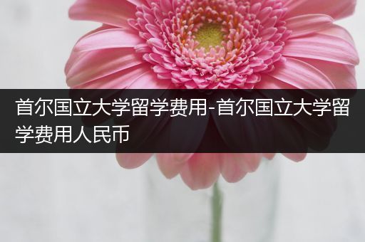 首尔国立大学留学费用-首尔国立大学留学费用人民币