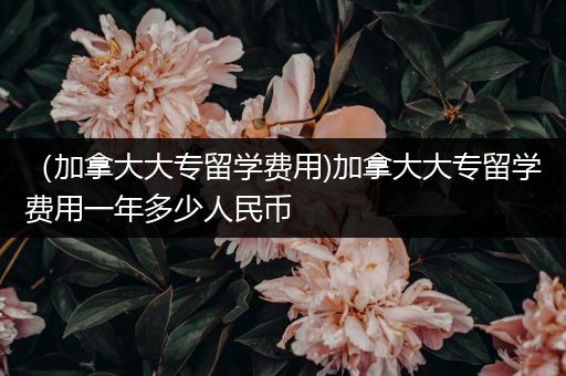 （加拿大大专留学费用)加拿大大专留学费用一年多少人民币