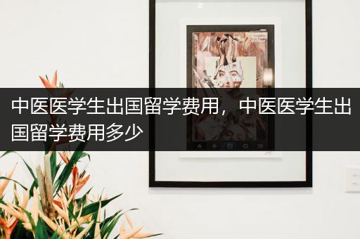 中医医学生出国留学费用，中医医学生出国留学费用多少