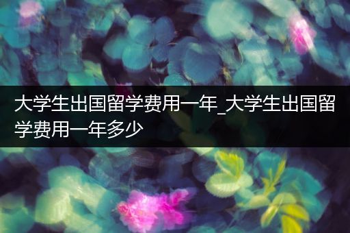 大学生出国留学费用一年_大学生出国留学费用一年多少
