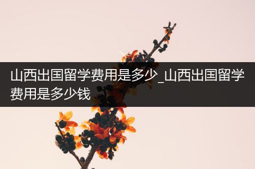 山西出国留学费用是多少_山西出国留学费用是多少钱