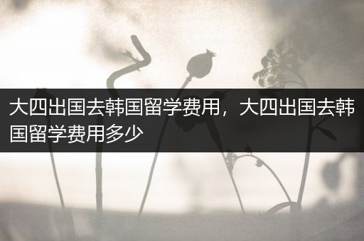 大四出国去韩国留学费用，大四出国去韩国留学费用多少