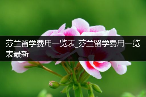 芬兰留学费用一览表_芬兰留学费用一览表最新
