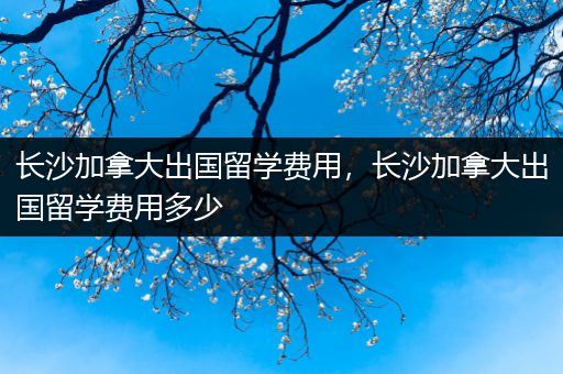 长沙加拿大出国留学费用，长沙加拿大出国留学费用多少