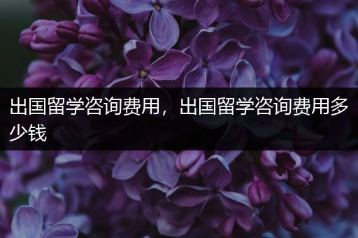 出国留学咨询费用，出国留学咨询费用多少钱