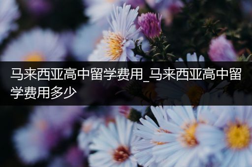 马来西亚高中留学费用_马来西亚高中留学费用多少