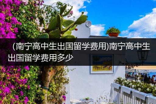 （南宁高中生出国留学费用)南宁高中生出国留学费用多少