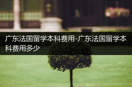 广东法国留学本科费用-广东法国留学本科费用多少