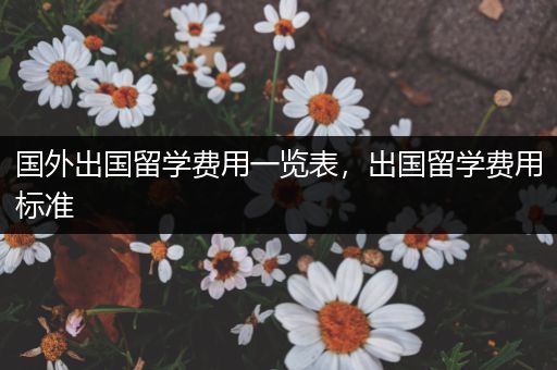国外出国留学费用一览表，出国留学费用标准