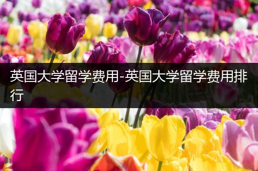英国大学留学费用-英国大学留学费用排行
