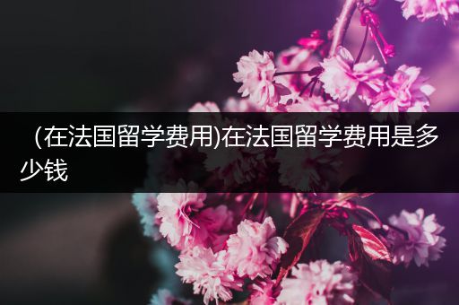 （在法国留学费用)在法国留学费用是多少钱