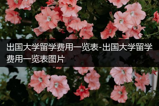 出国大学留学费用一览表-出国大学留学费用一览表图片