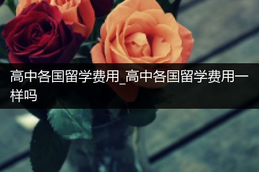 高中各国留学费用_高中各国留学费用一样吗