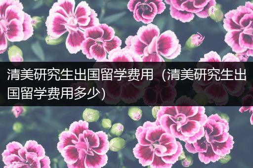 清美研究生出国留学费用（清美研究生出国留学费用多少）