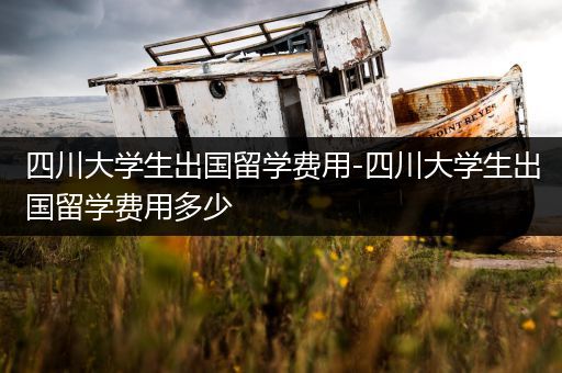 四川大学生出国留学费用-四川大学生出国留学费用多少